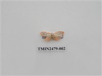 藏品(彎拐美苔蛾)的圖片